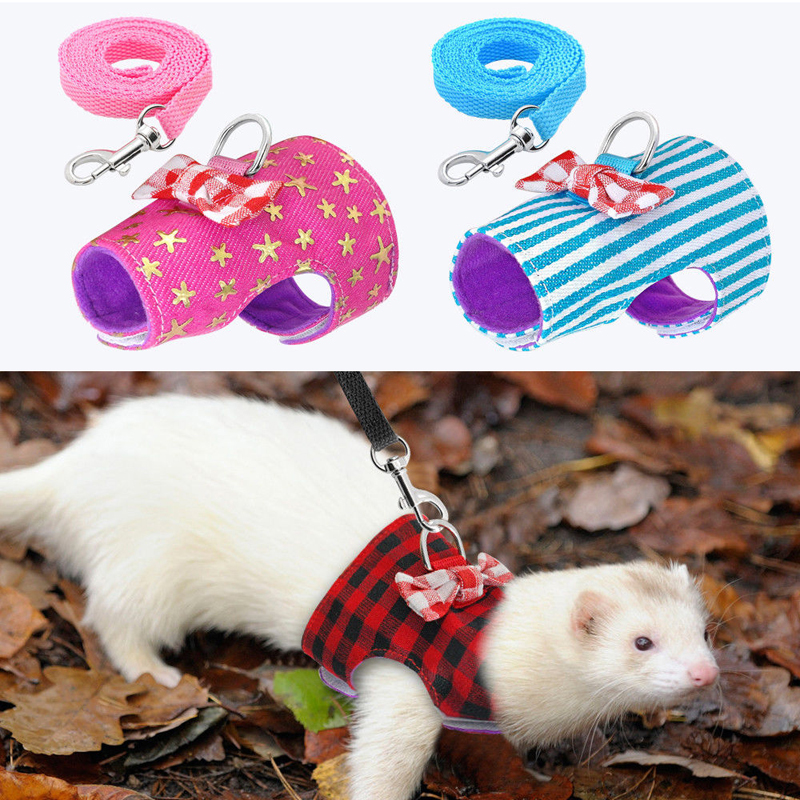 ferret leash and harness